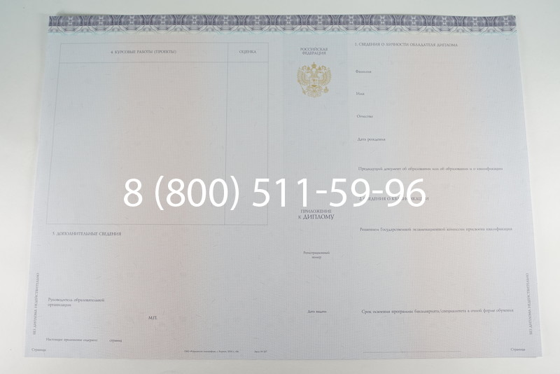 Диплом бакалавра (Киржач) 2014-2024 года в Москве